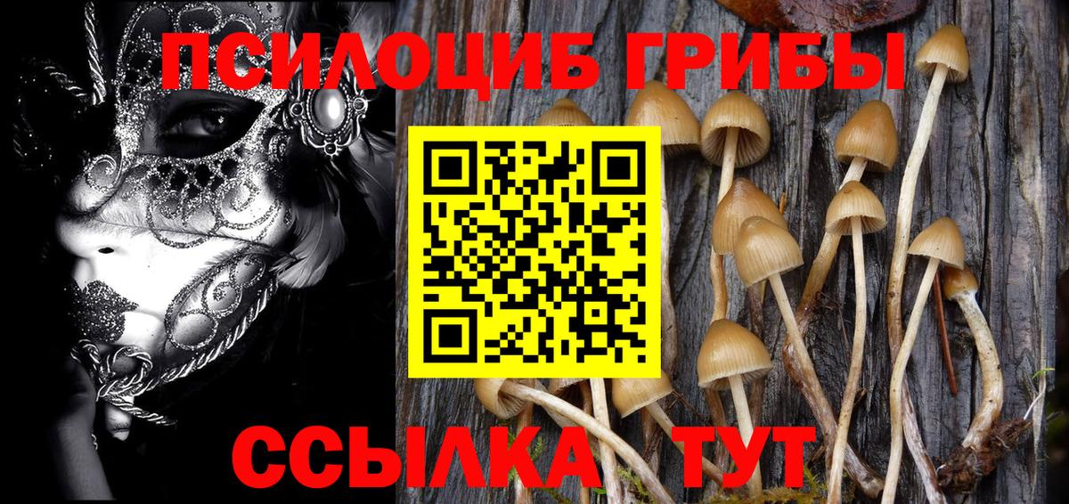 Ржев  Псилоцибиновые грибы GOLDEN TEACHER  Вход с VPN 